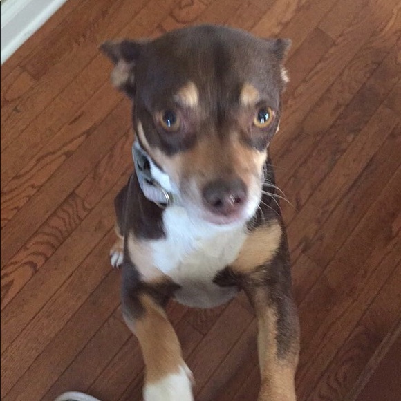 Meet your Posher, Elise - Picture 1 of 1